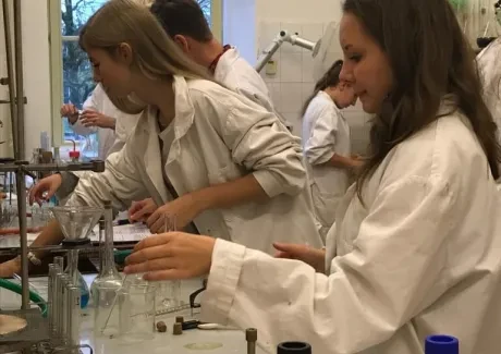 Projektový den - 8.11.2017