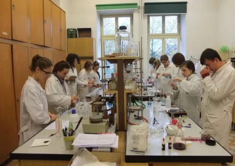 Projektový den - 8.11.2017