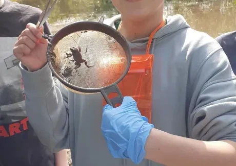 Biologicko-výtvarný projekt sekund