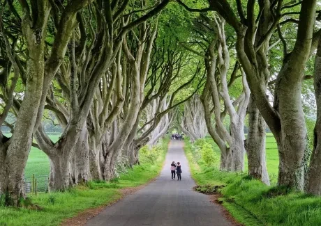 Poznávací zájezd do Irska 18.-26. 5. 2023