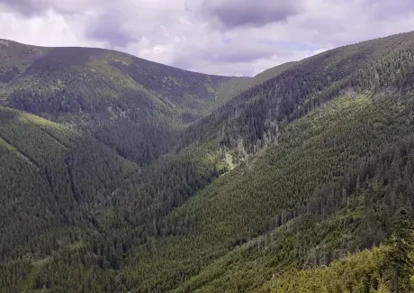 BI-VV projekt v Krkonoších 2.B