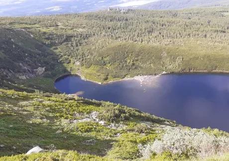 BI-VV projekt v Krkonoších 2.B