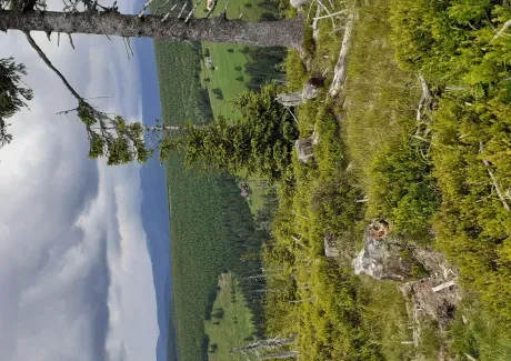 BI-VV projekt v Krkonoších 2.B