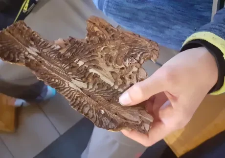 BI-VV projekt v Krkonoších 2.B