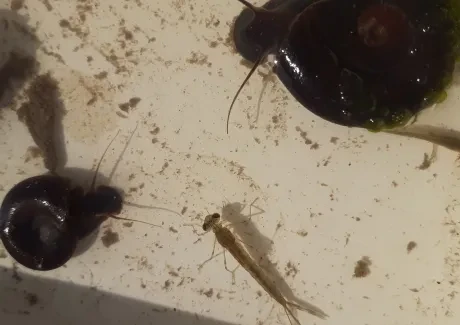 Biologicko-výtvarný projekt sekund