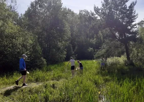 Biologicko-výtvarný projekt sekund