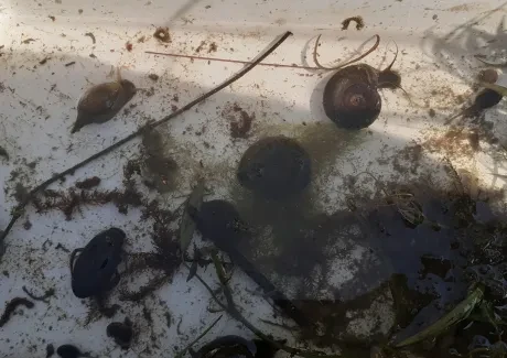 Biologicko-výtvarný projekt sekund