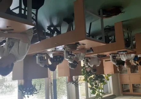 Biologicko-výtvarný projekt sekund