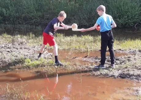 Biologicko-výtvarný projekt sekund