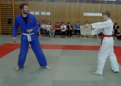 Projektový den - 8.11.2017