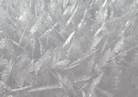 Lyžařský kurz - sekundy 2019