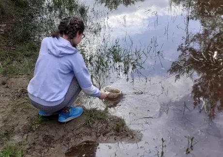 Biologicko-výtvarný projekt sekund