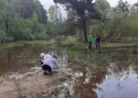 Biologicko-výtvarný projekt sekund