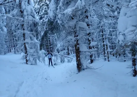Lyžařský kurz - sekundy 2019