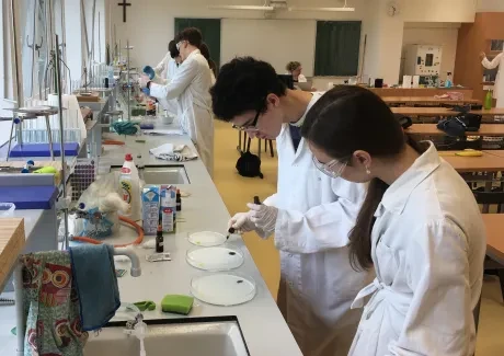 Projektový den na VG 26. 5. 2022