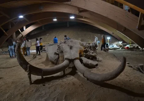 Squadra Risonante v Srbsku