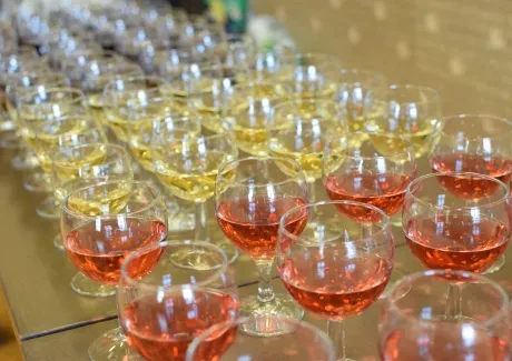 Slavnostní předávání maturitních vysvědčení 3