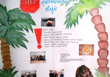 Projektový den VG - 9.11.2016