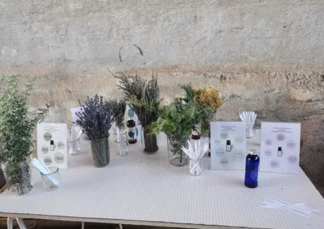 Výměnný pobyt ve Francii 15.-23. 10. 2022 - 2. část