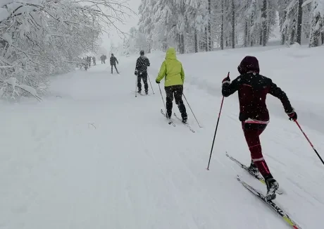 Lyžařský kurz kvinty - leden 2019
