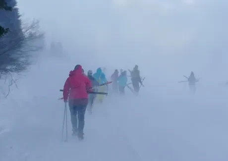 Lyžařský kurz kvinty - leden 2019