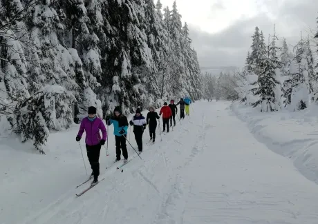 Lyžařský kurz kvinty - leden 2019