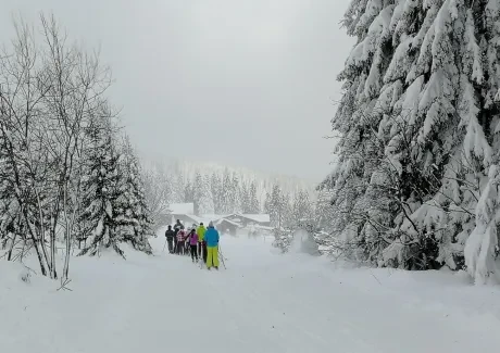 Lyžařský kurz kvinty - leden 2019