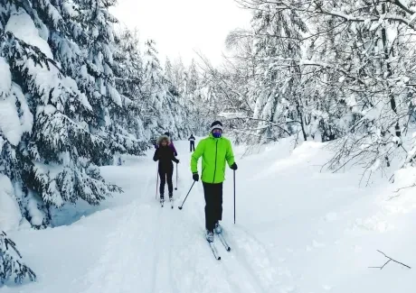 Lyžařský kurz kvinty - leden 2019