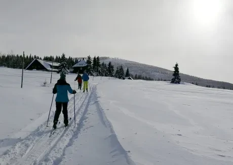 Lyžařský kurz kvinty - leden 2019