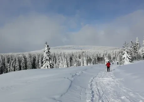 Lyžařský kurz kvinty - leden 2019