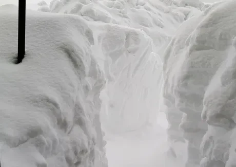 Lyžařský kurz kvinty - leden 2019