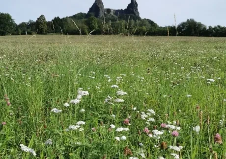 STK - na kole i pěšky po Českém ráji