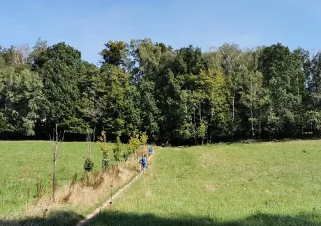 STK - na kole i pěšky po Českém ráji