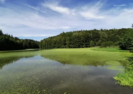 STK - na kole i pěšky po Českém ráji 2