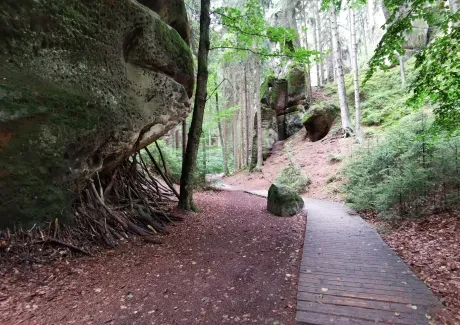 Cyklistický kurz 2022