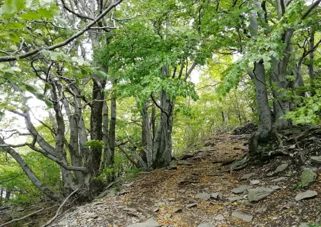 Exkurze semináře zeměpisu 4.-5. 10. 2022