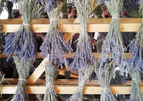 Výměnný pobyt ve Francii 15.-23. 10. 2022 - 1. část