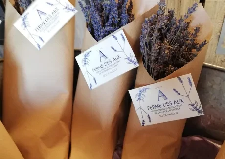 Výměnný pobyt ve Francii 15.-23. 10. 2022 - 1. část