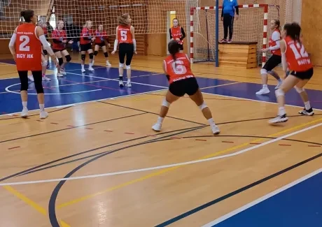 Krajské kolo volejbalu dívek 30. 10. 2023