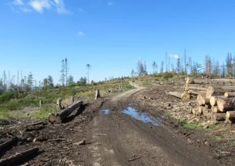 STK - turistika v Beskydech