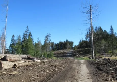 STK - turistika v Beskydech