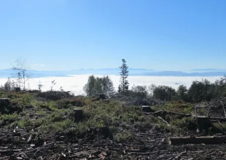 STK - turistika v Beskydech