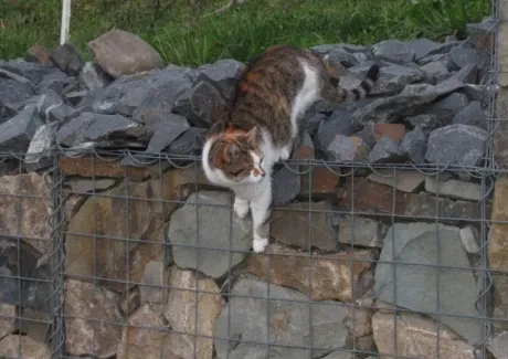 STK - turistika v Beskydech