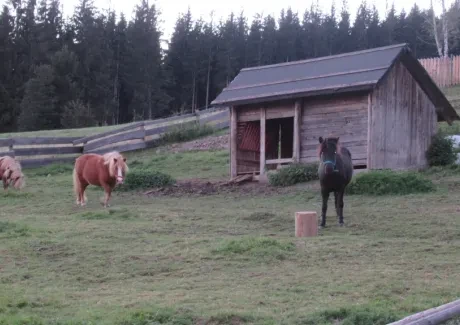 STK - turistika v Beskydech