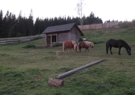 STK - turistika v Beskydech