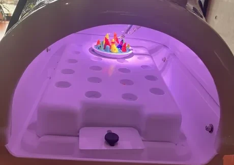 Exkurze semináře somatologie 30. 9. 2022