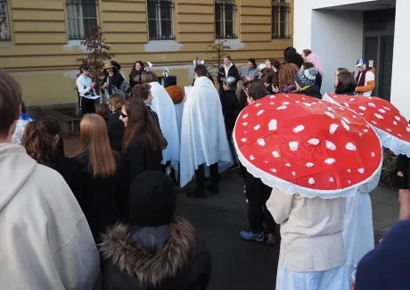 Masopust 13. 2. 2024