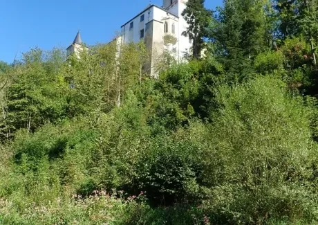 STK - vodáci na Vltavě i ve Vltavě